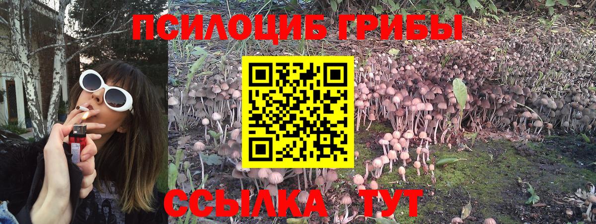 Псилоцибиновые грибы мицелий Златоуст
